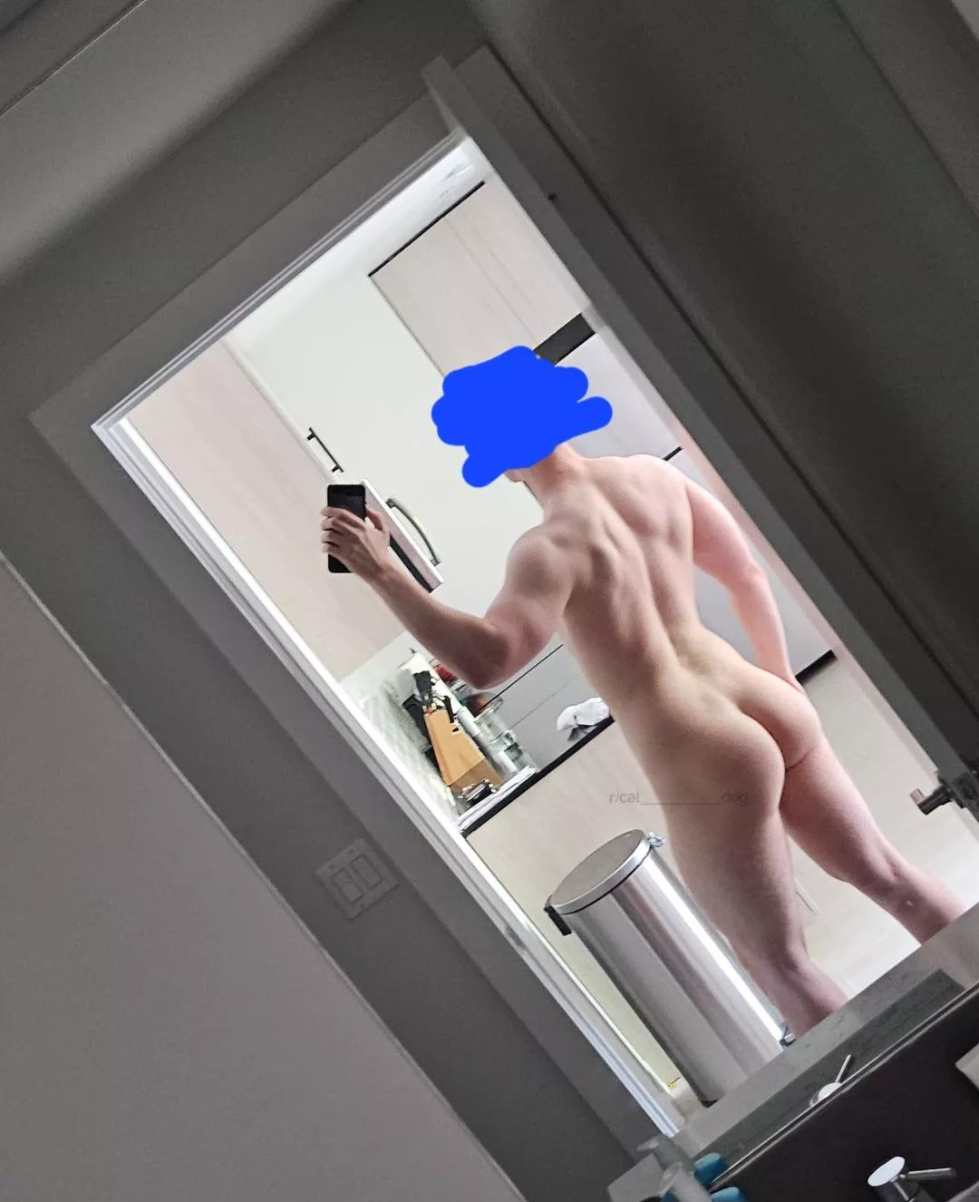 Love the attention you all give me