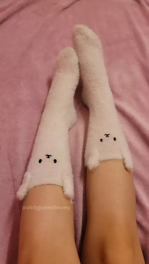 Silly bunny socks 