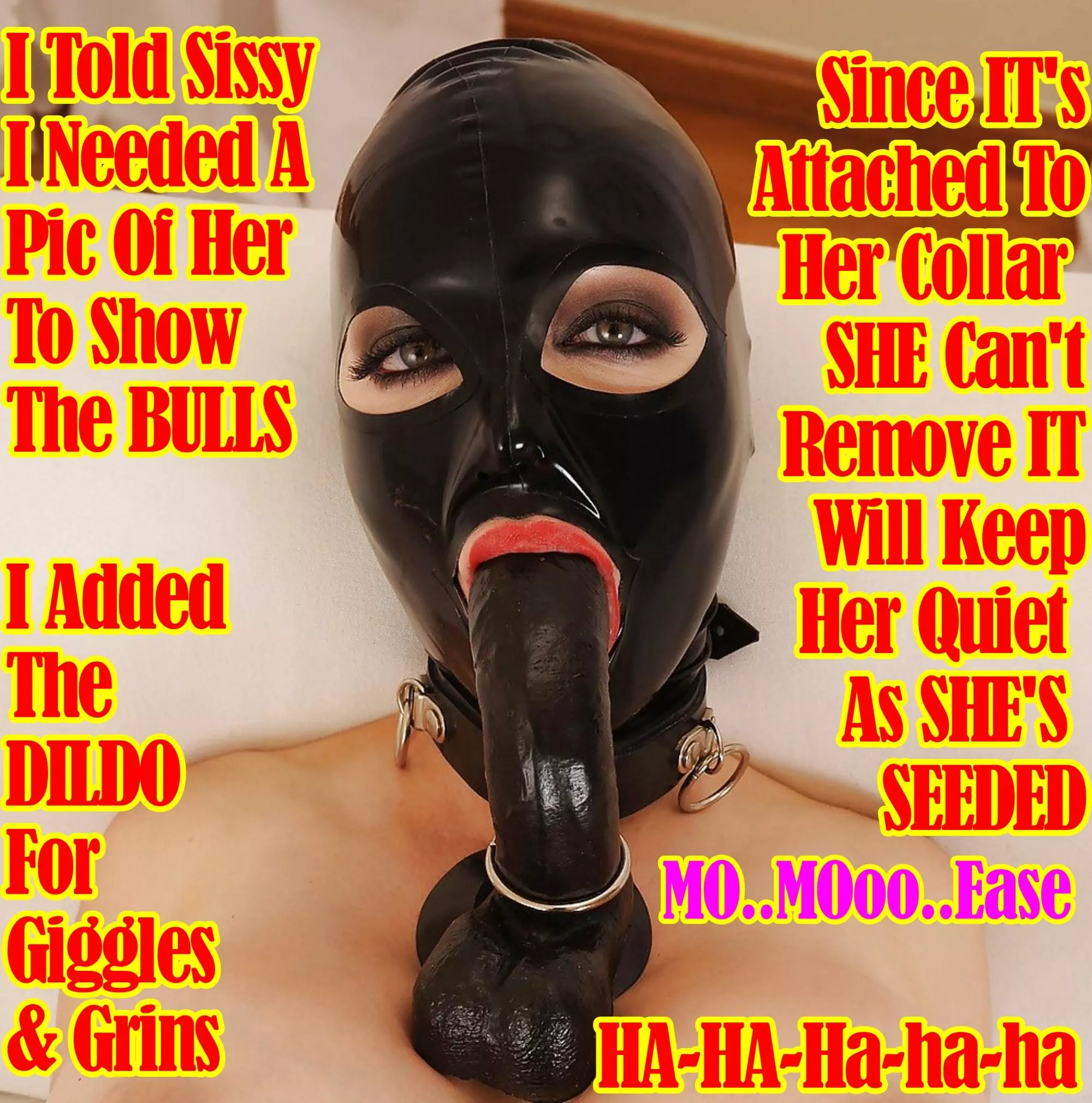 Sissy Training