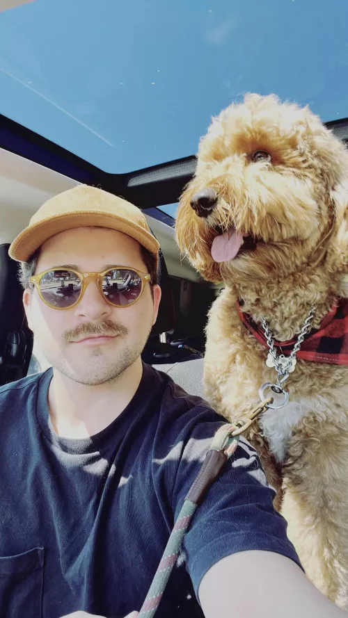 Such a nice day at the dog park!