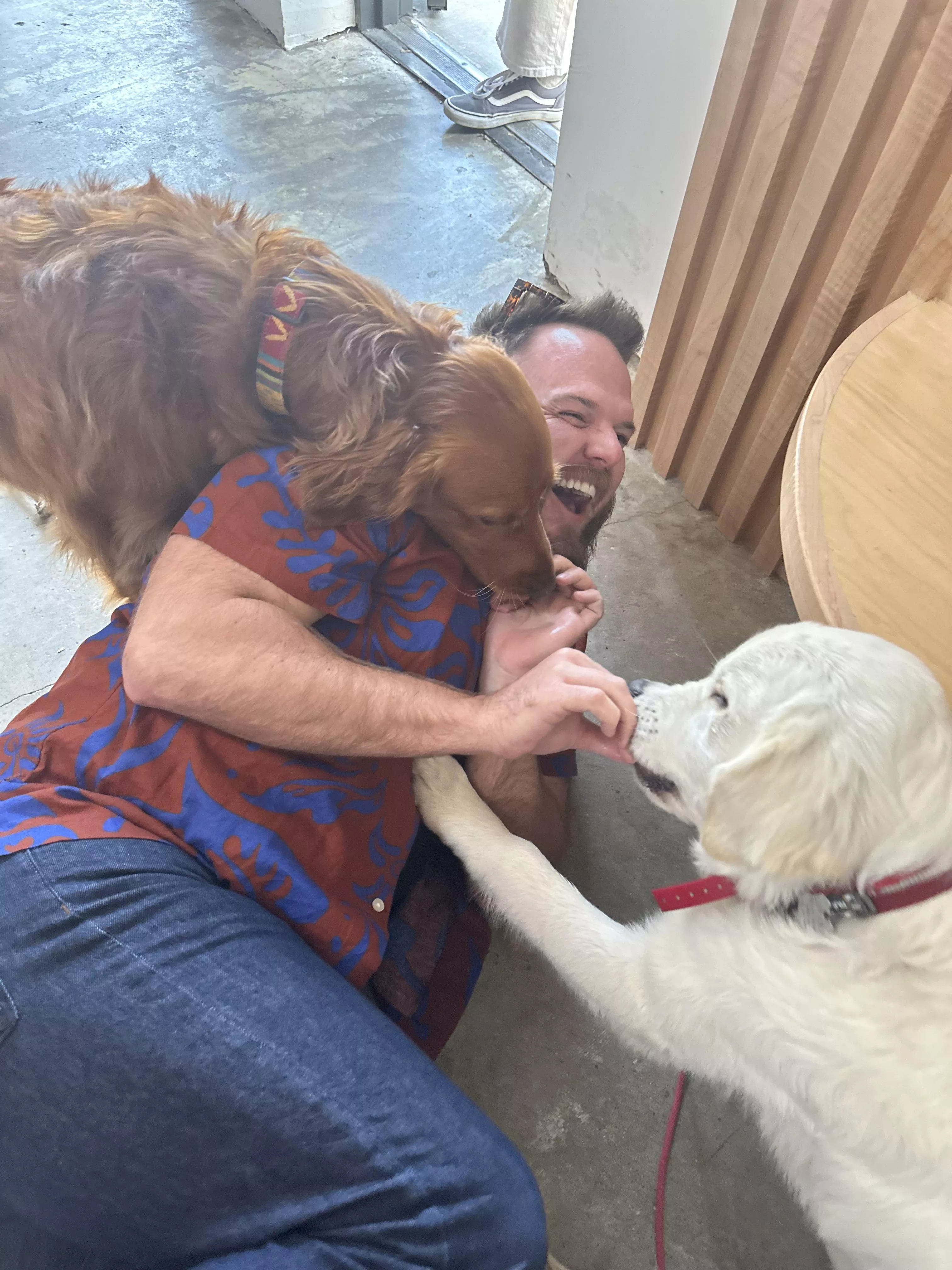 Went wine tasting.. ended up on the floor with the dogs 