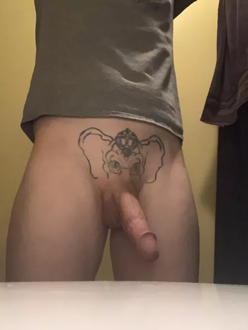 Would you ride an elephant?