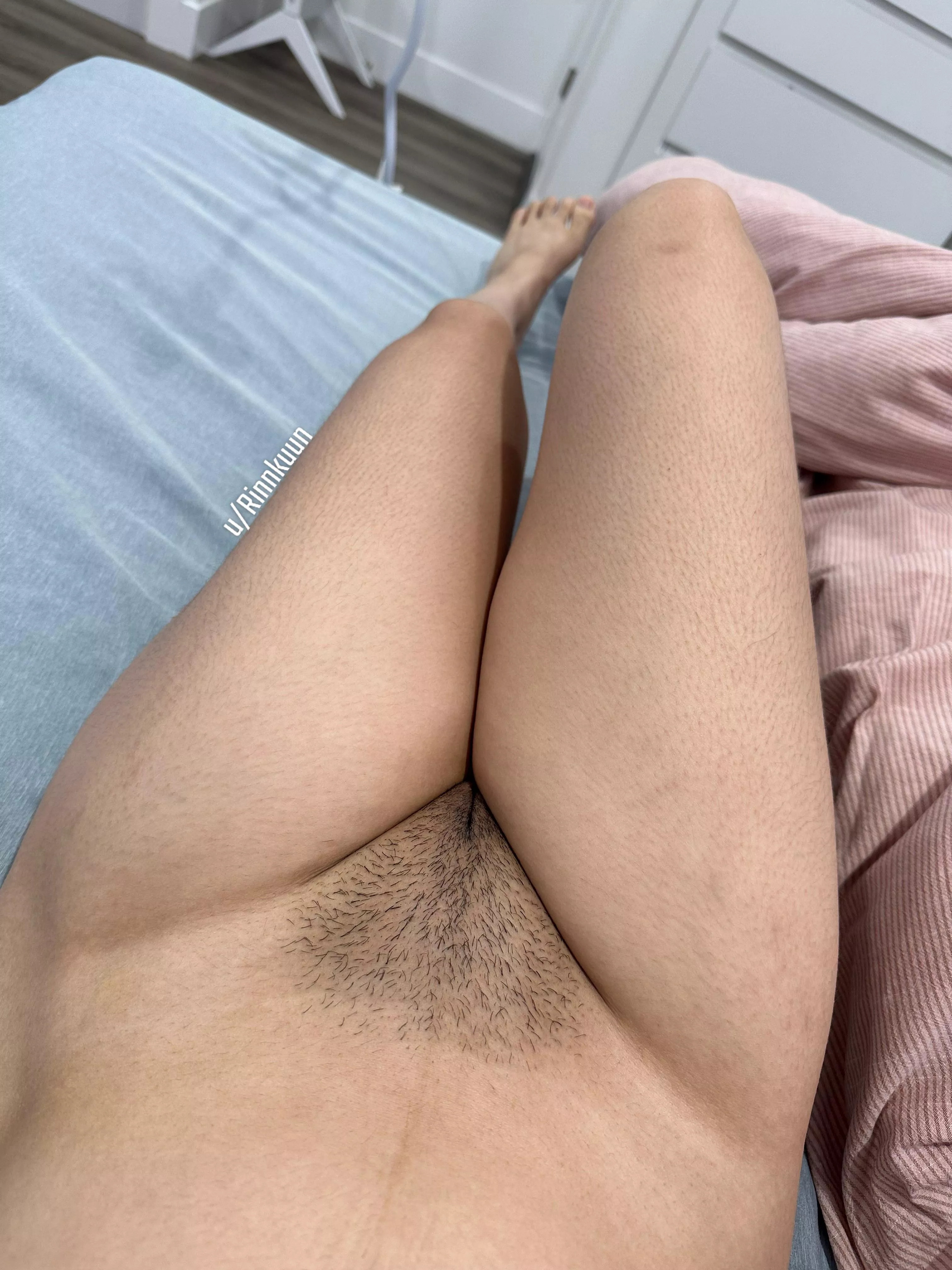 Grew out a mini bush…