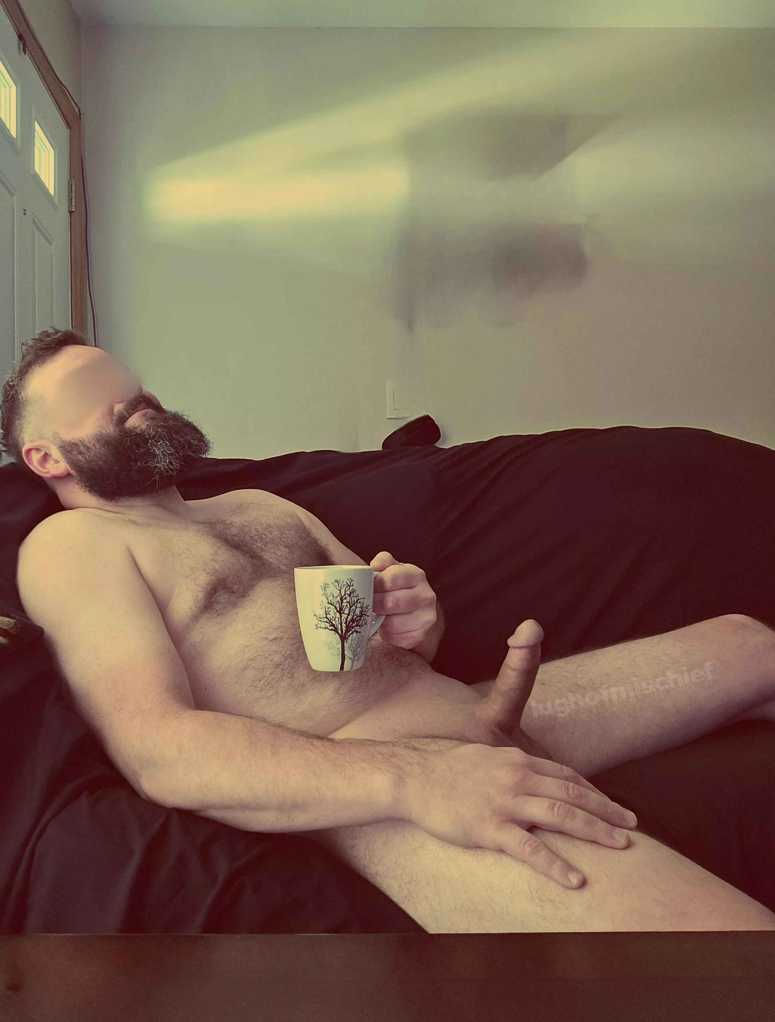 Plenty of space on this couch this morning...😉