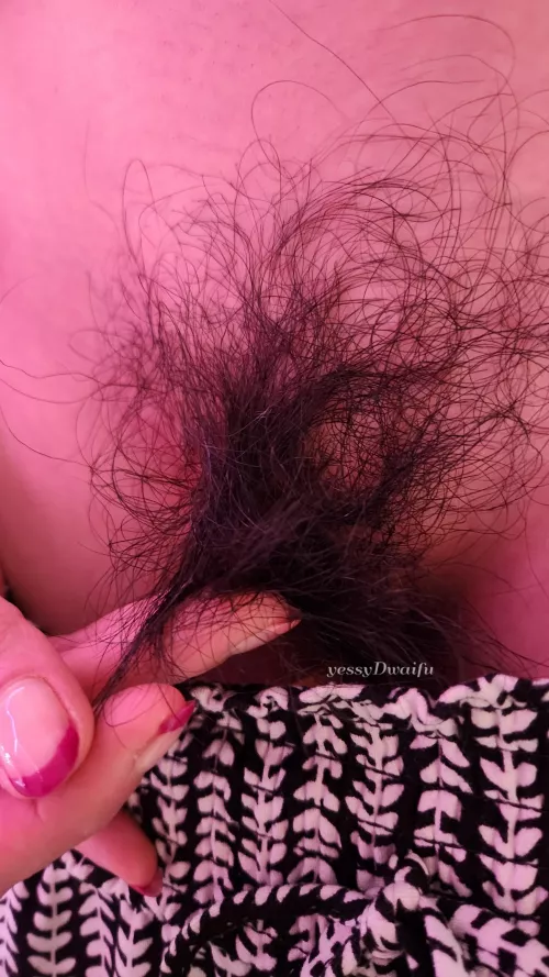 run your fingers through my bush