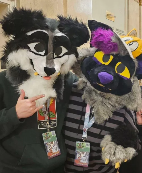 T4T furry couple, looking for an audience!