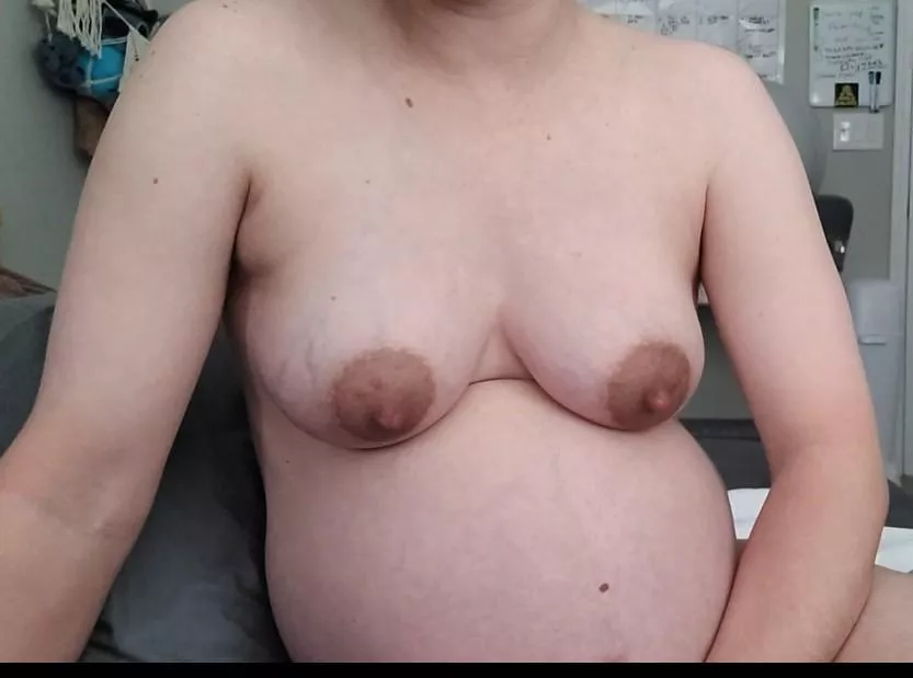 these preggo tits are so heavy...would you like to try them in your mouth?