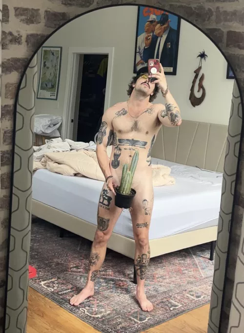 A cactus is just a really aggressive cucumber 