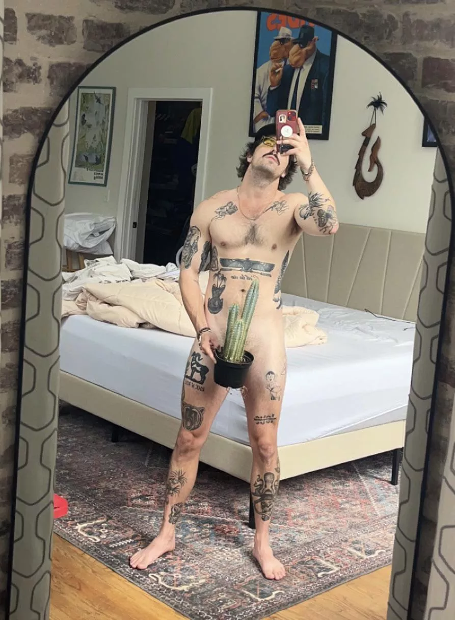 A cactus is just a really aggressive cucumber 