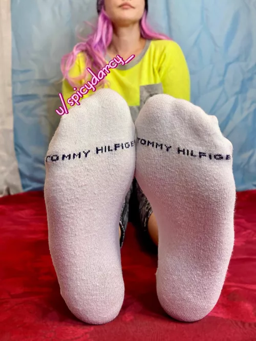 Come sniff and say “ thank you, Darcy”