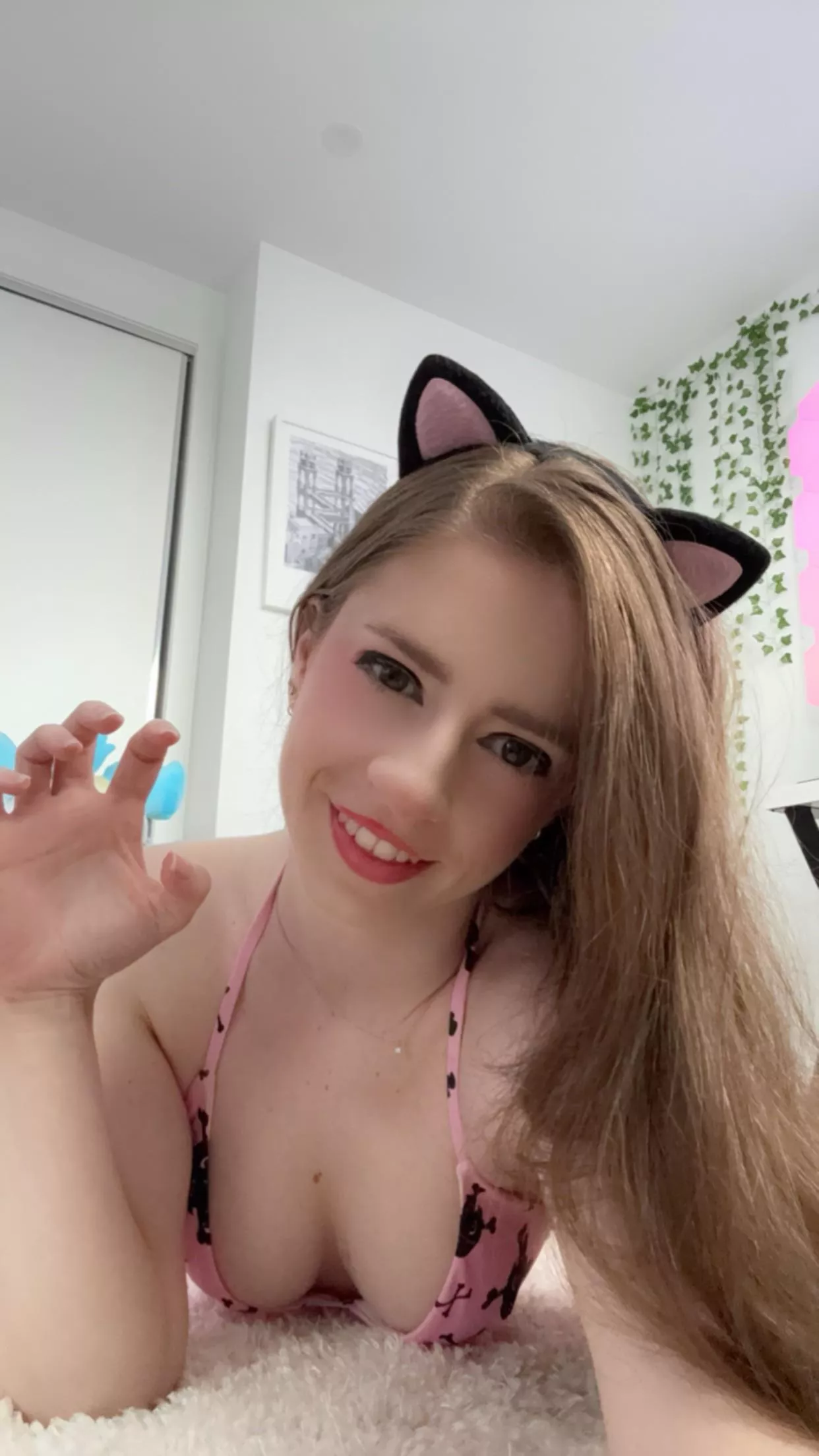 do you think I’m more of a meow or a nyah kitty? 🐱 