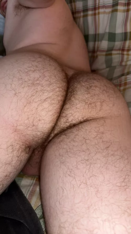 Need a hairy cock to fill my hairy ass