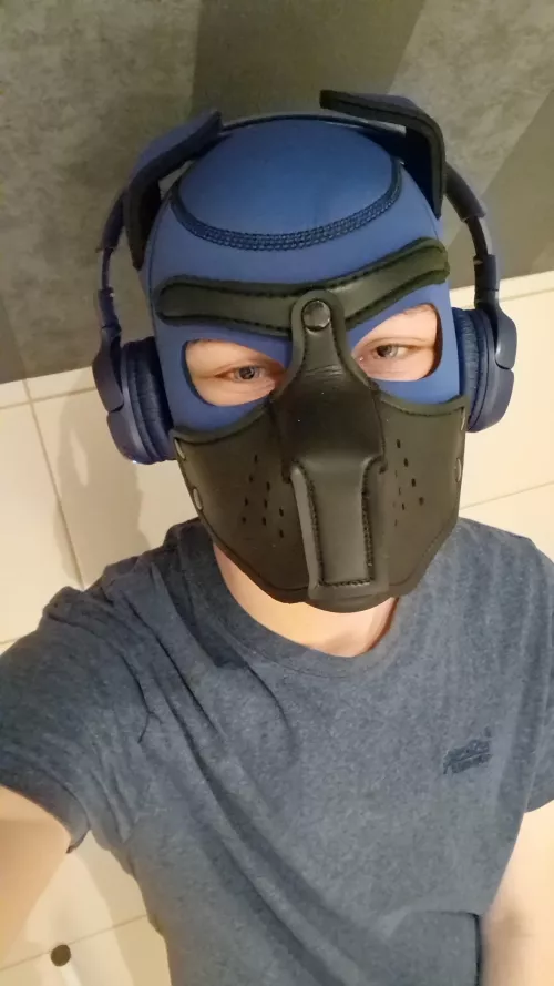 New Here chillin' 🐶