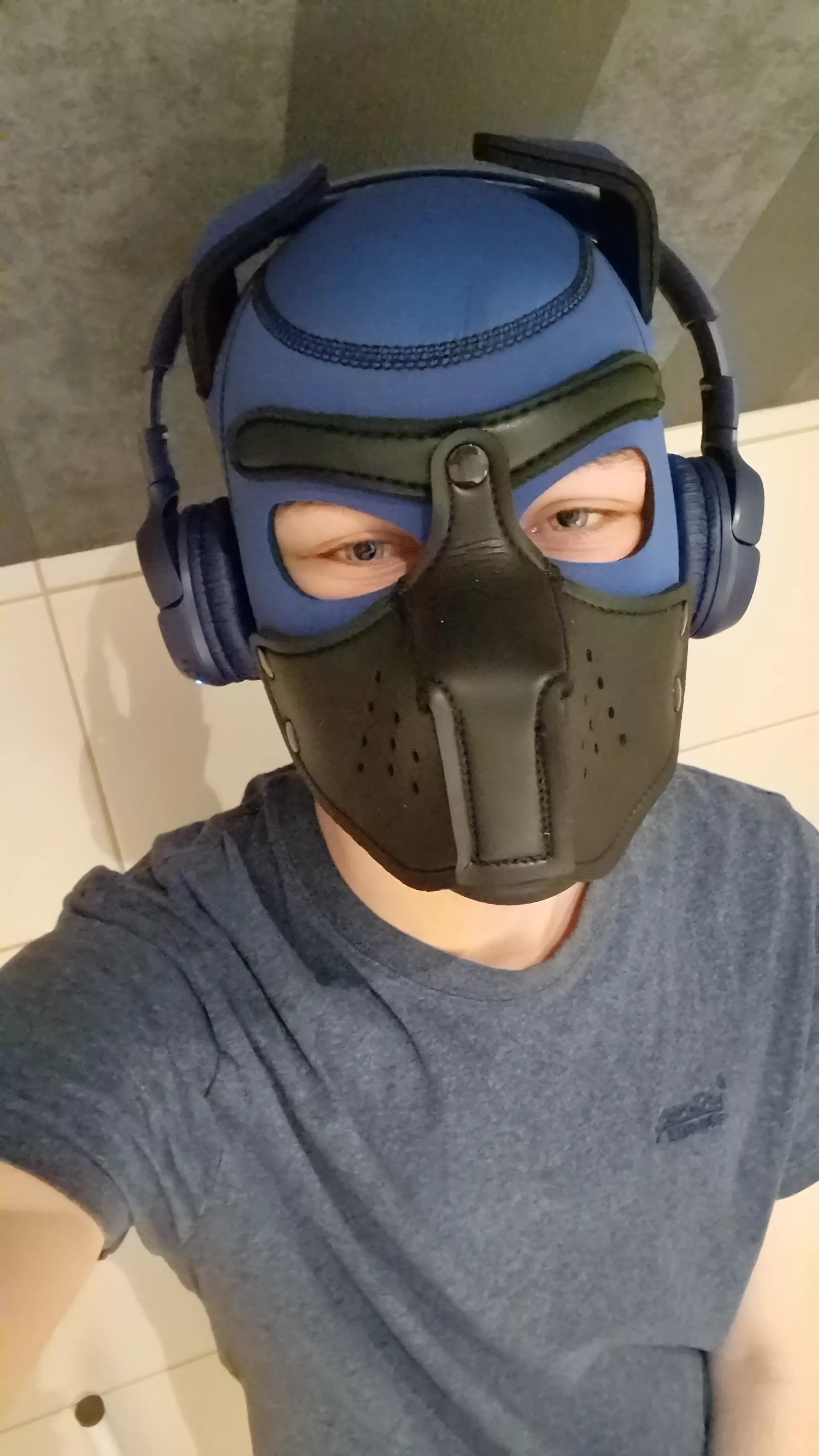 New Here chillin' 🐶