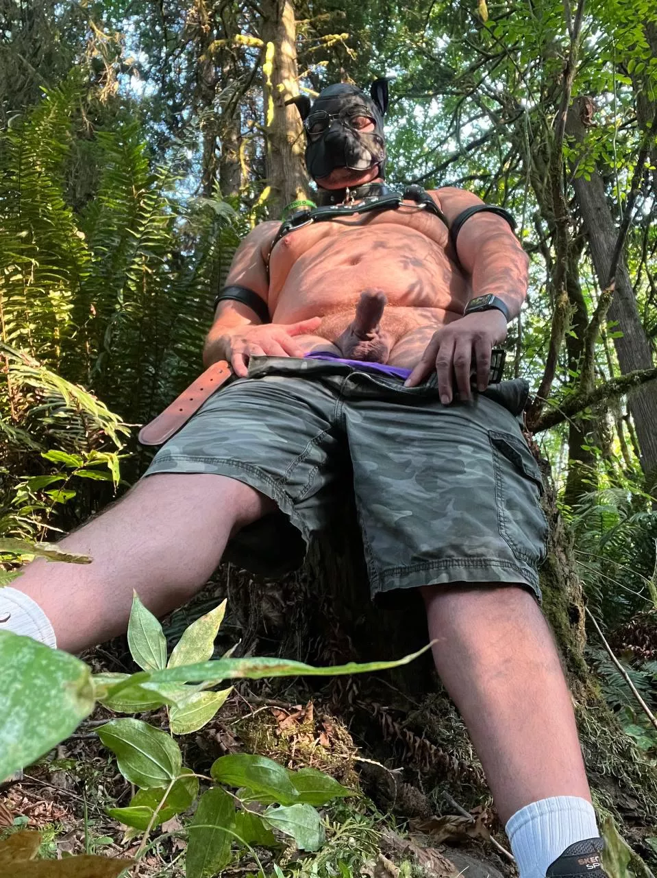 Puppy loves to play in the woods