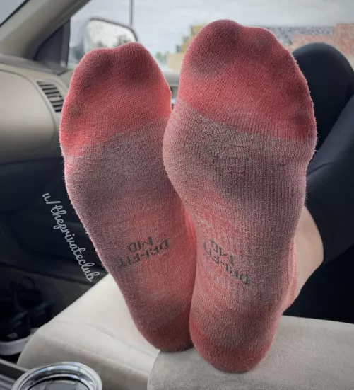 Stunk up the whole car! 🤭