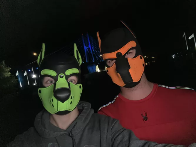 Trips to the city are never boring 🐾