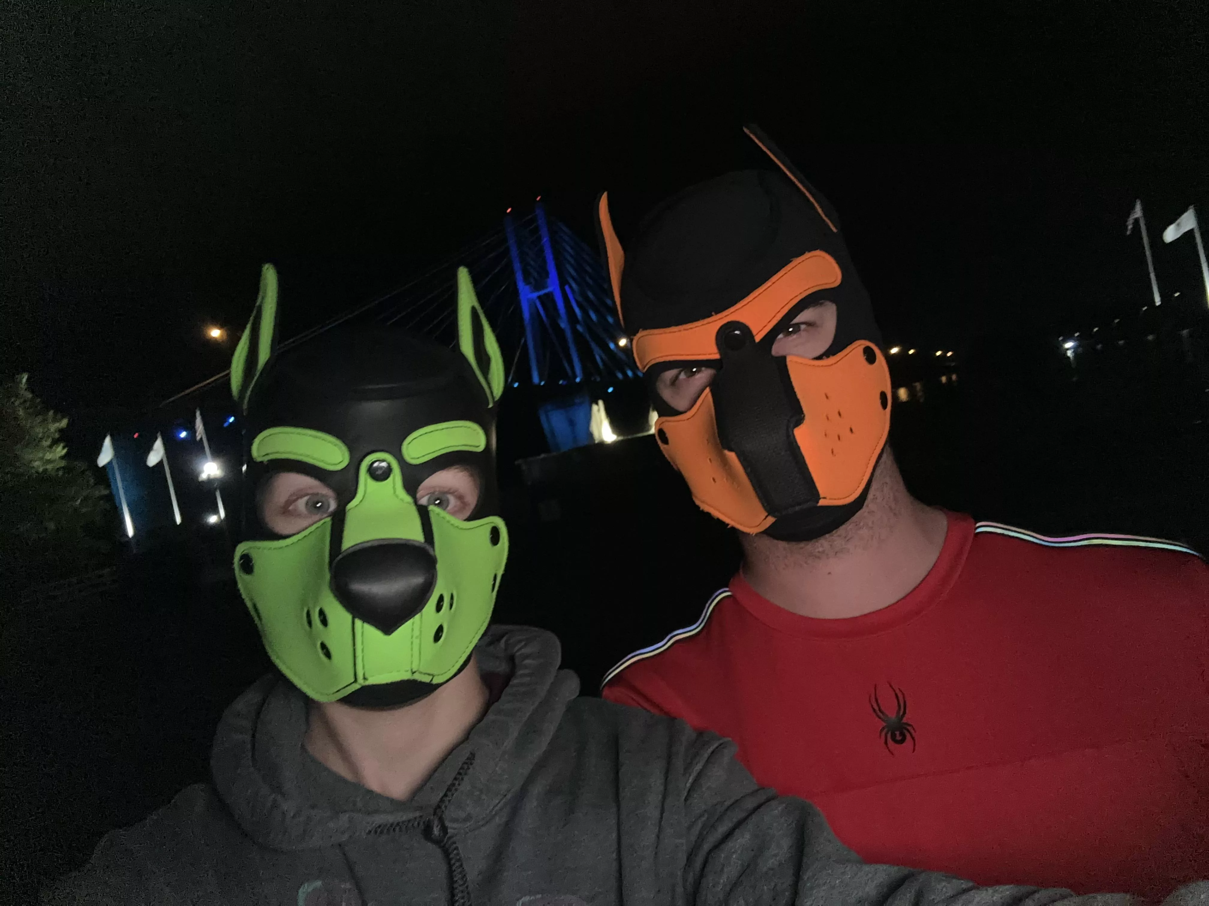 Trips to the city are never boring 🐾