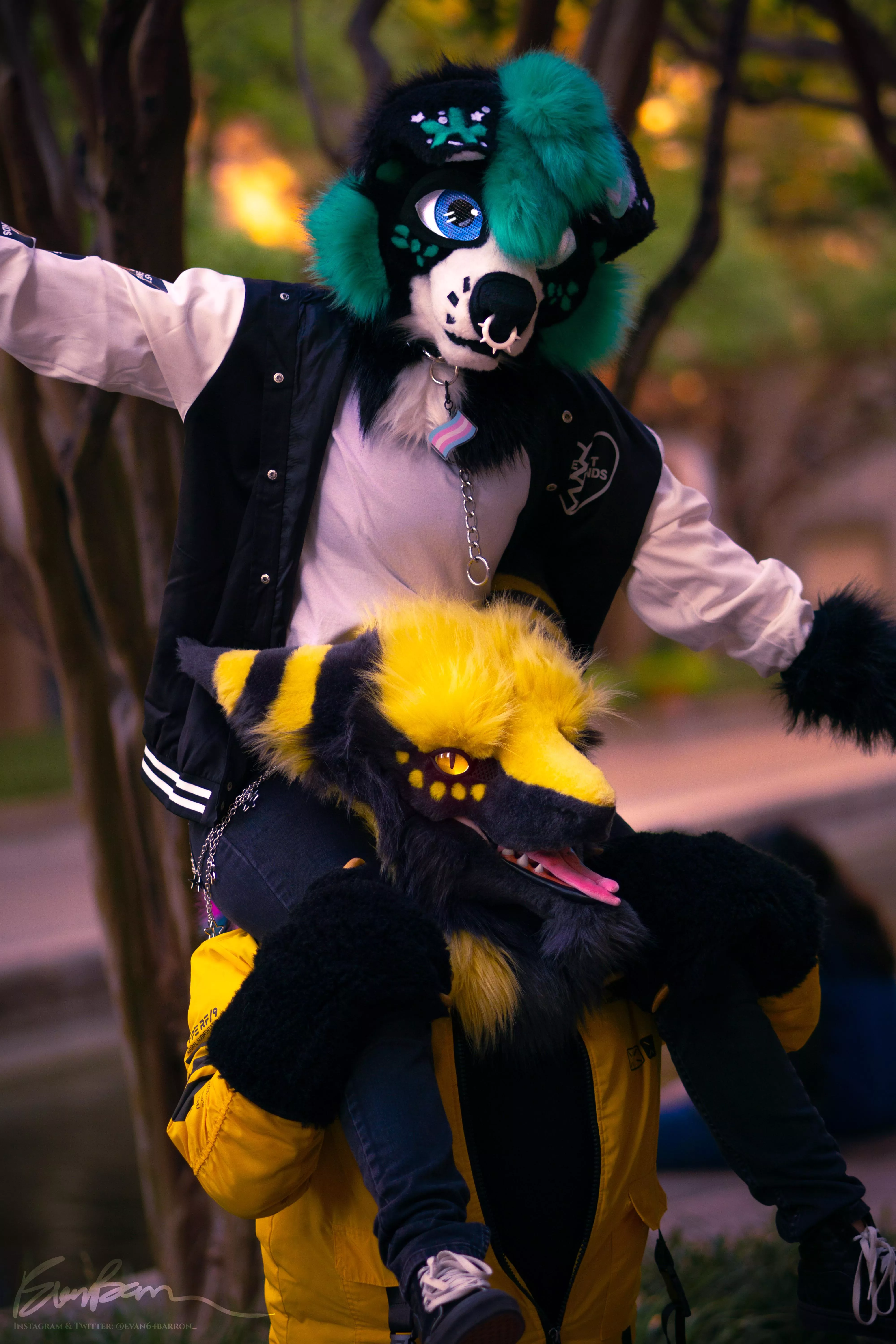 Who always has your back?