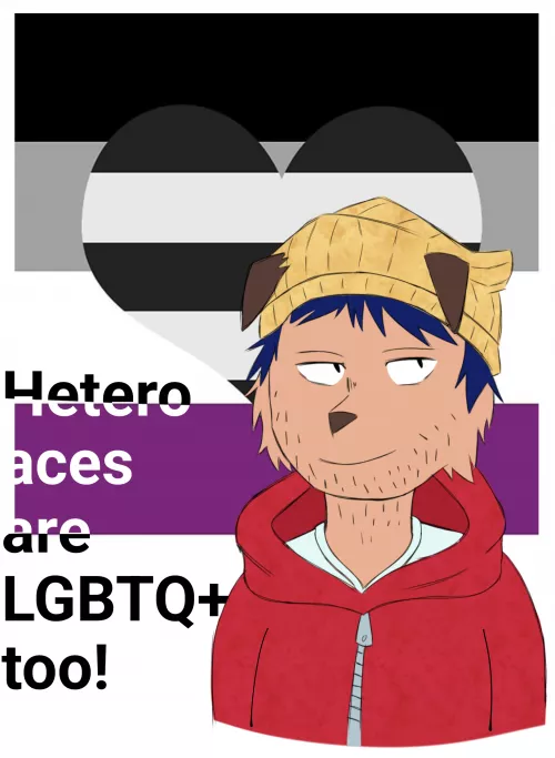 As we move into pride month, just a reminder that hetero aces are part of the community too!