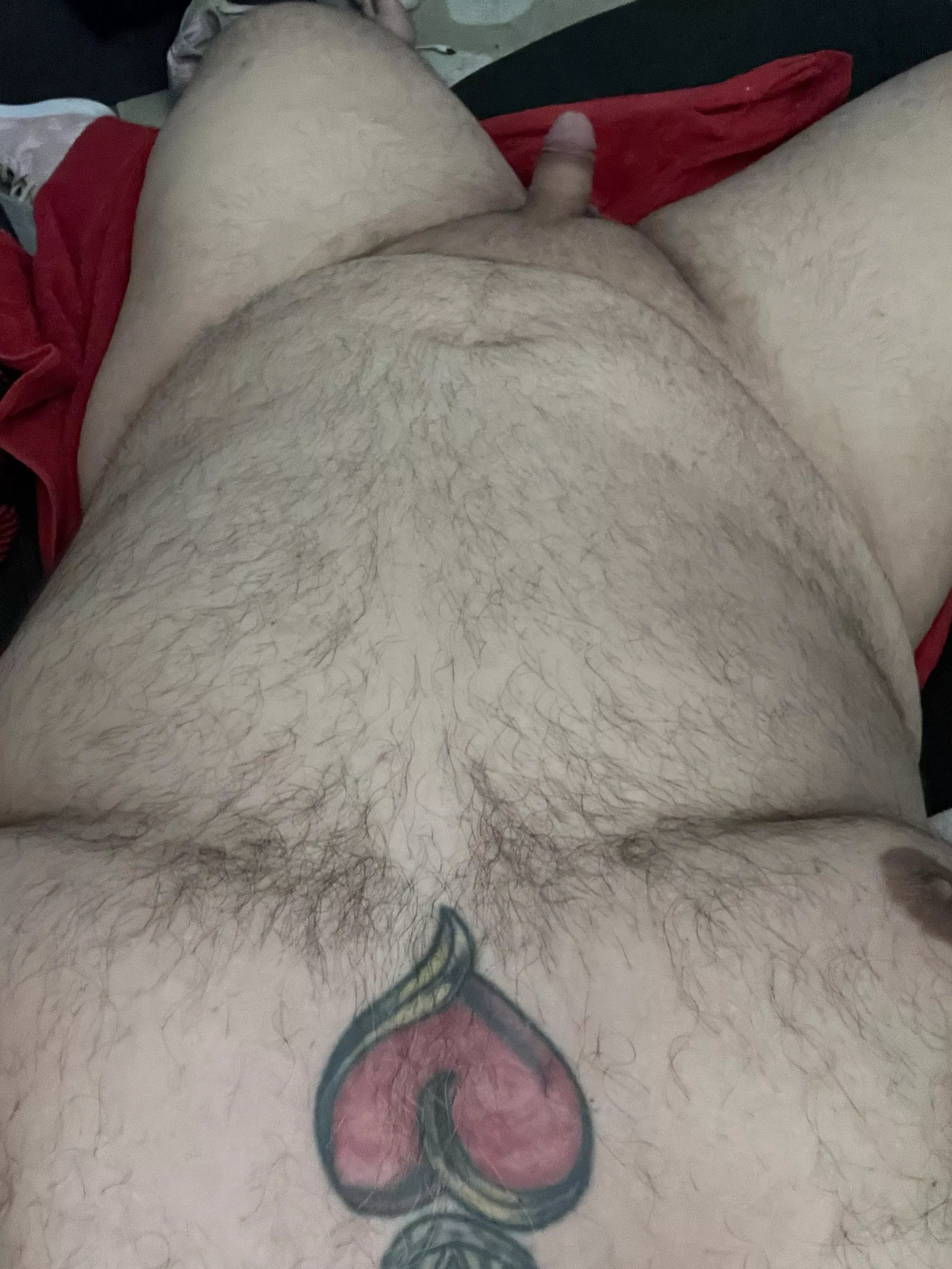 Can I skip work today and stay here (45)