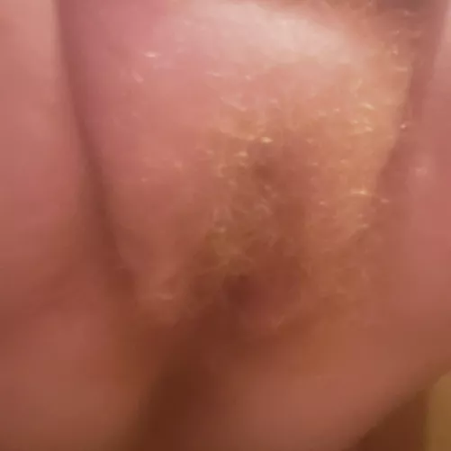 I love my fat hairy kitty :)