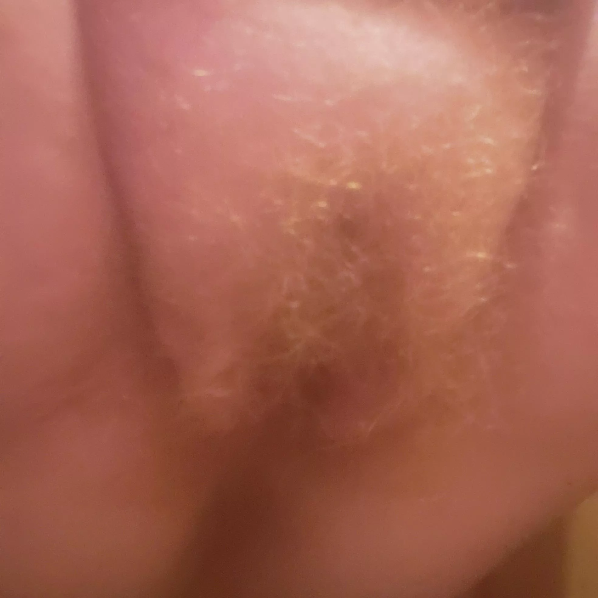 I love my fat hairy kitty :)