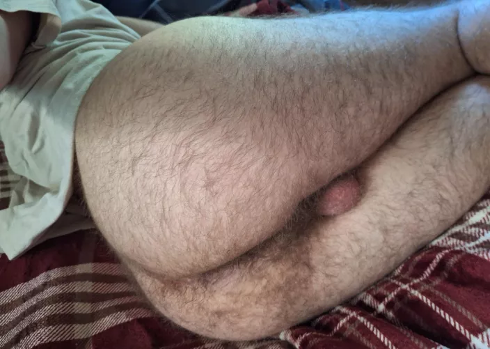 I think my ass deserves some attention 