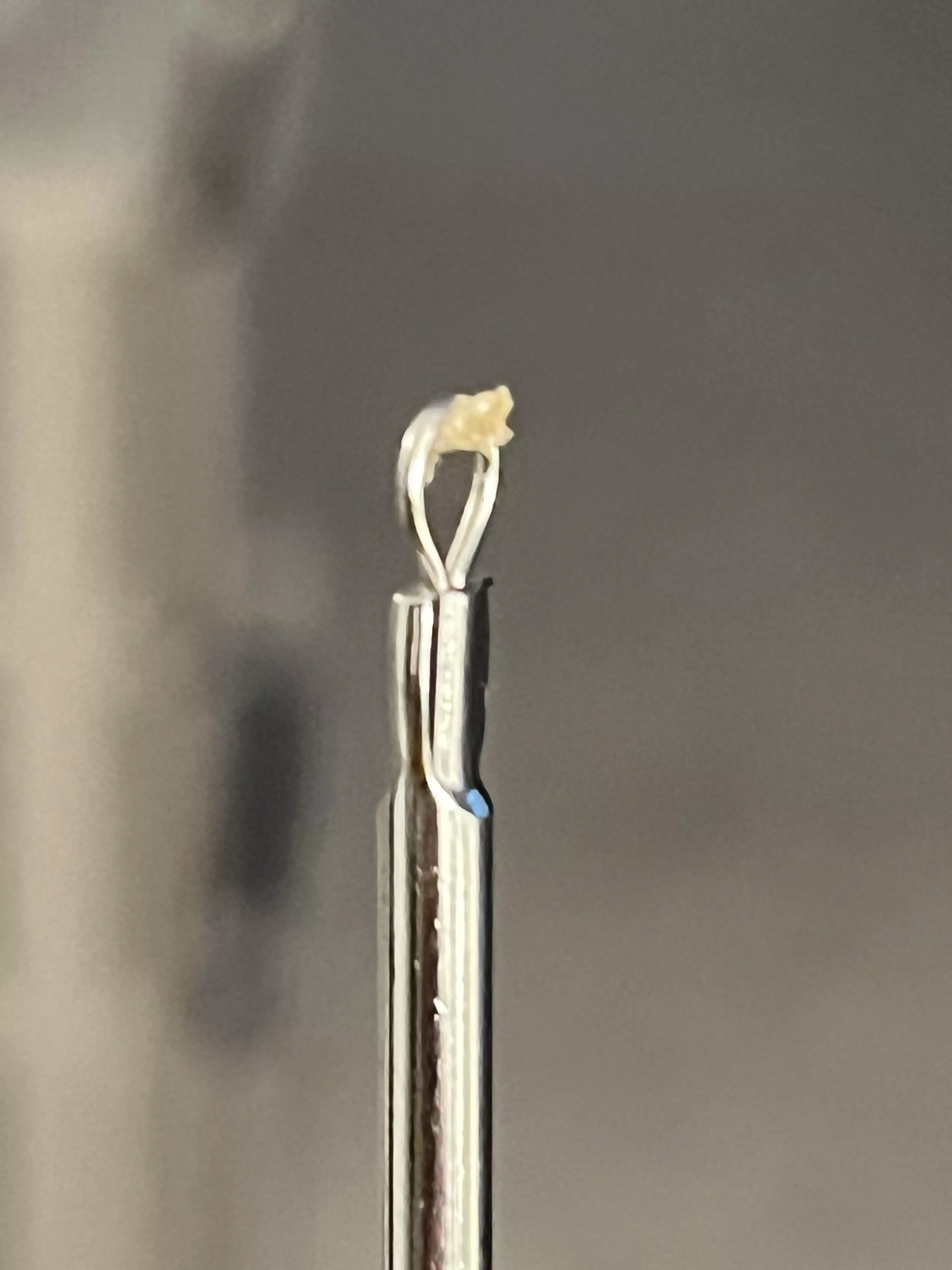 My guilty pleasure sue me