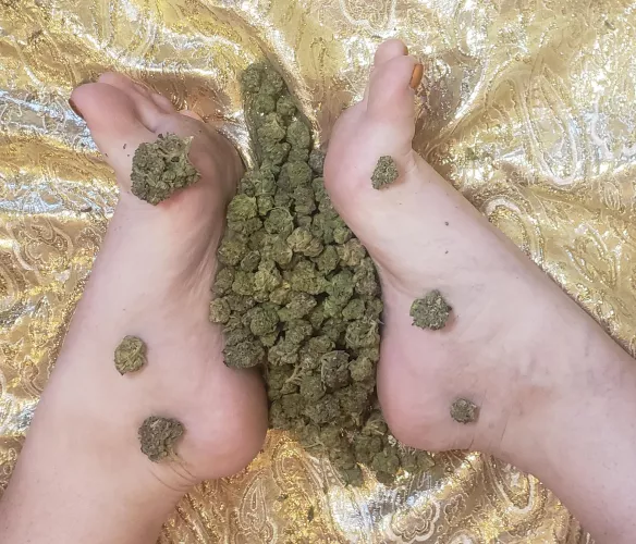 (OC) Sixty grams of (legal🇨🇦) pot stuffed between those size 10 soles...what else could fit? 🤔🚀💥