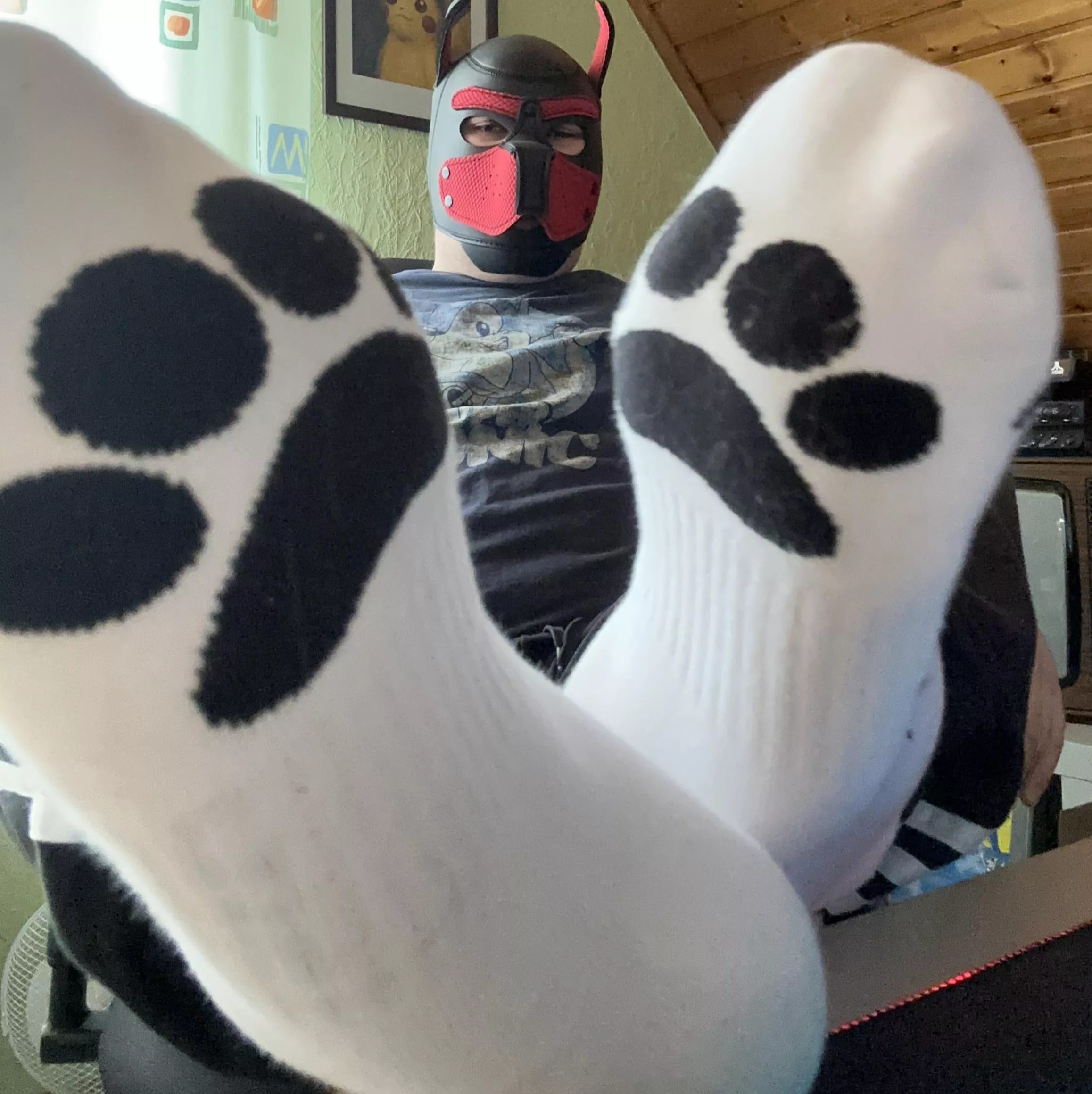 Pup did get new Socks today! 🐾