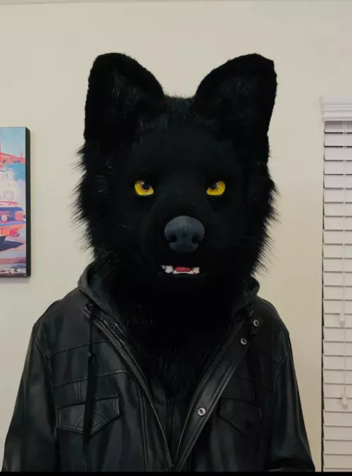 What style suit is this?