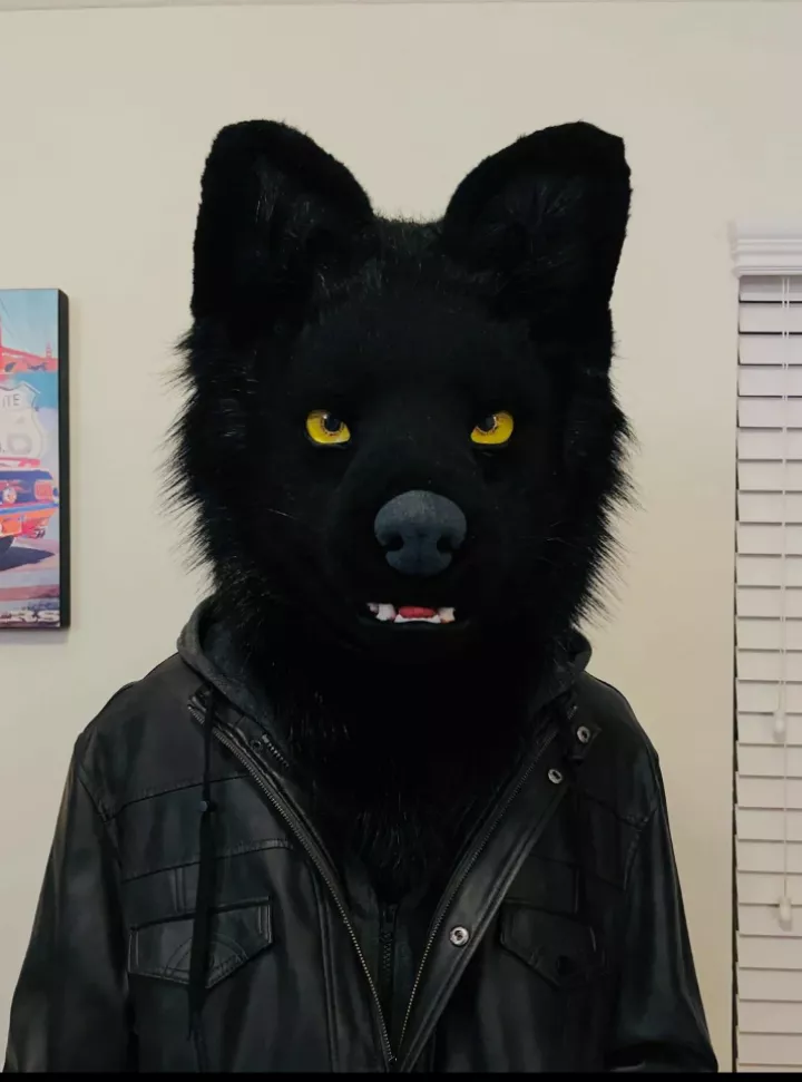 What style suit is this?