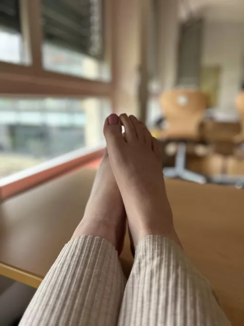 Wouldn’t it be exciting for you to sit under my desk and lick my feet clean?