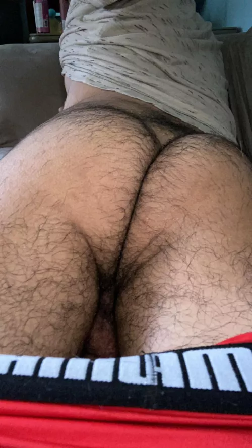 Come spread these hairy cheeks and slide your hard dick inside and get me wet 🥵
