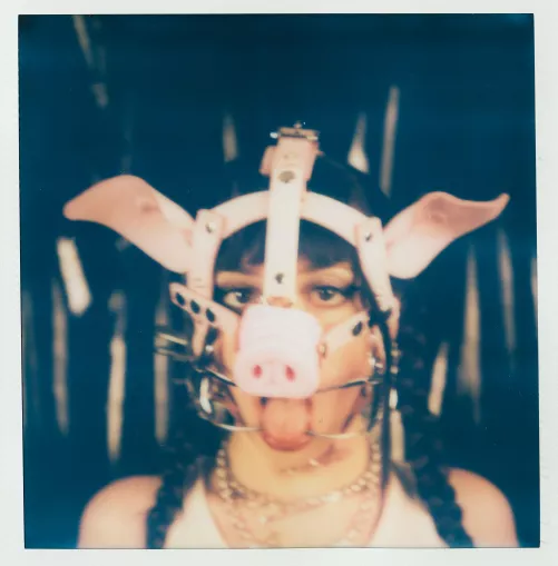 do i make a good little piggy?