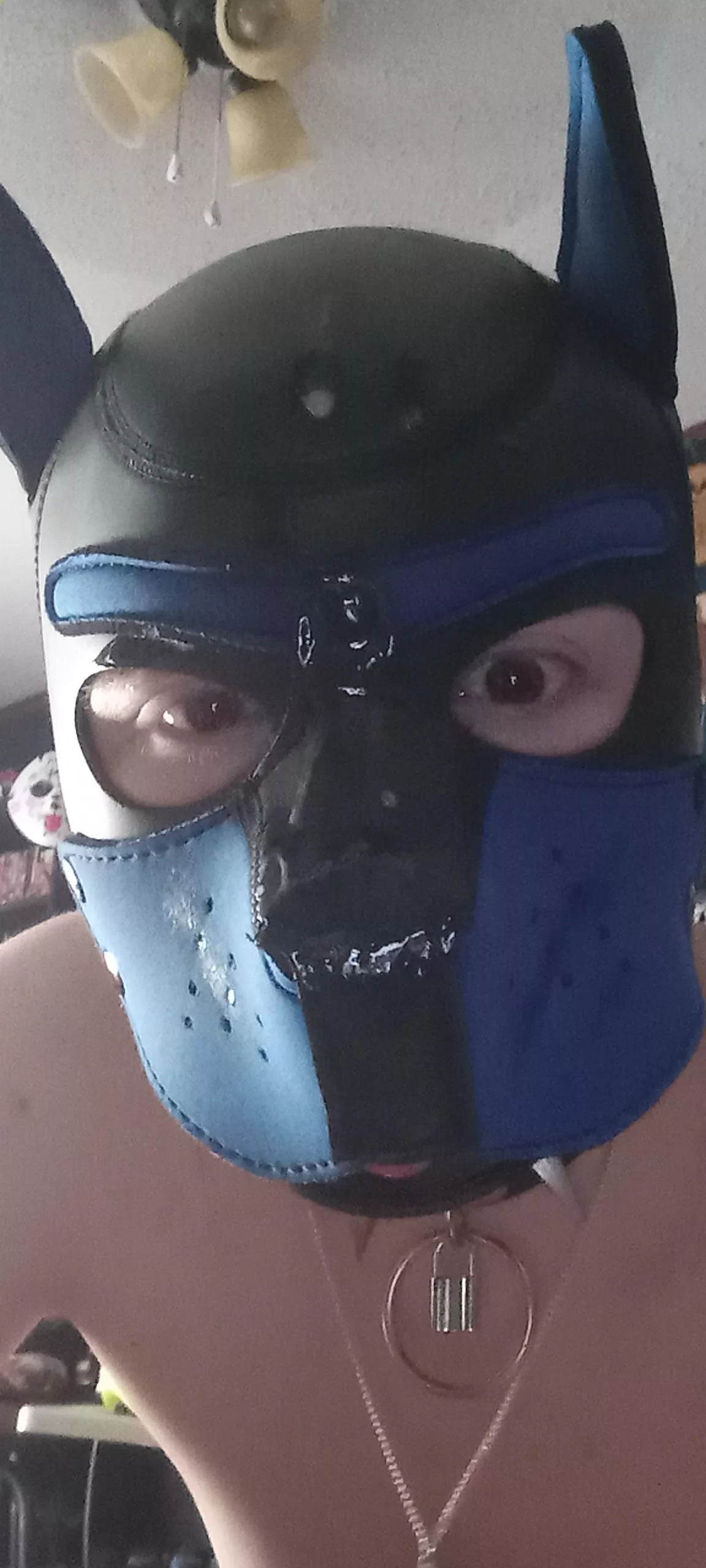 Gots Daddy juices on my muzzle, hehe~