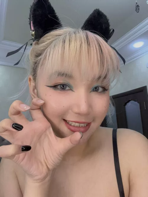 Have you ever played with an Asian cat?