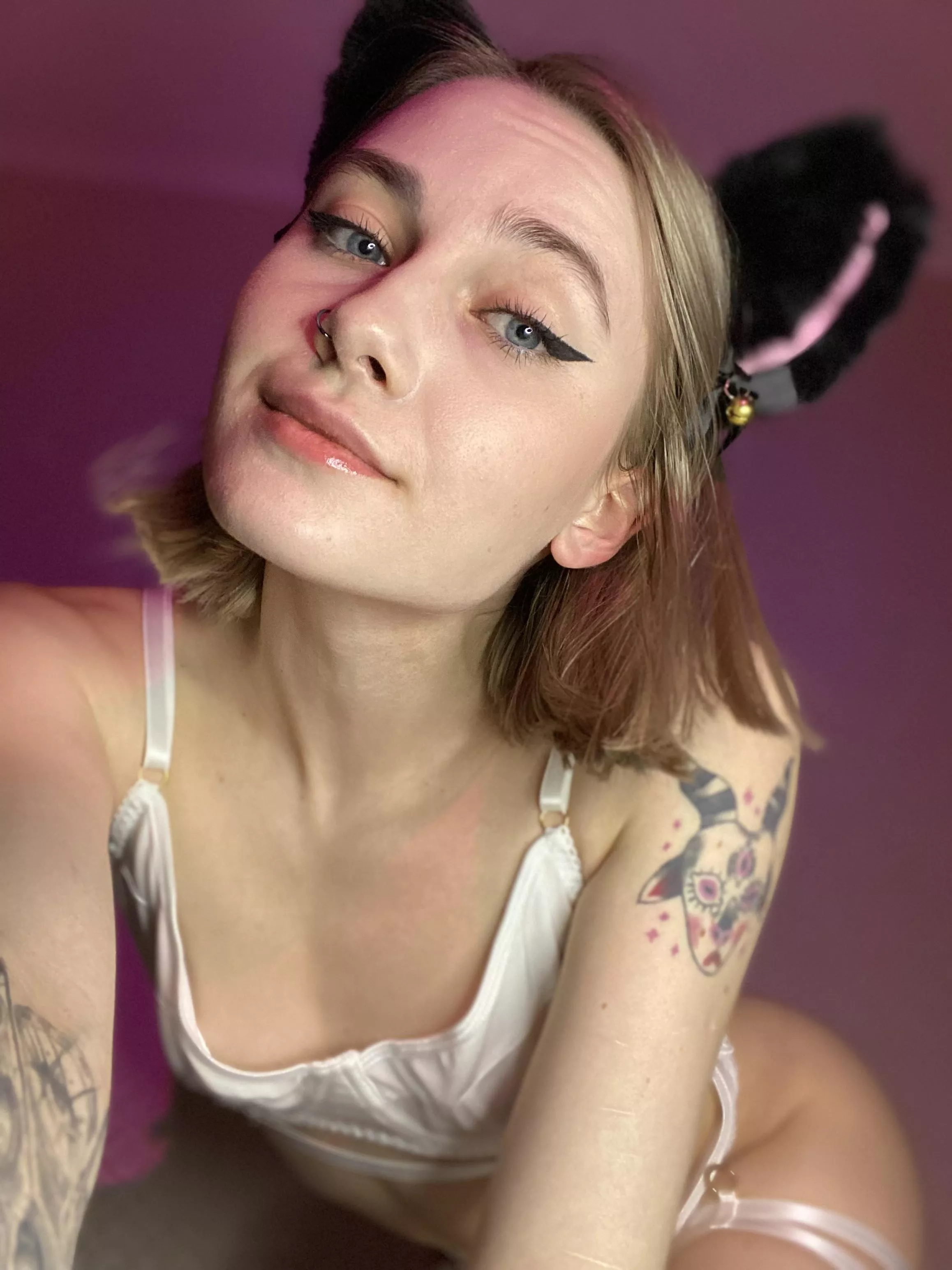 I like being breed and pet daily