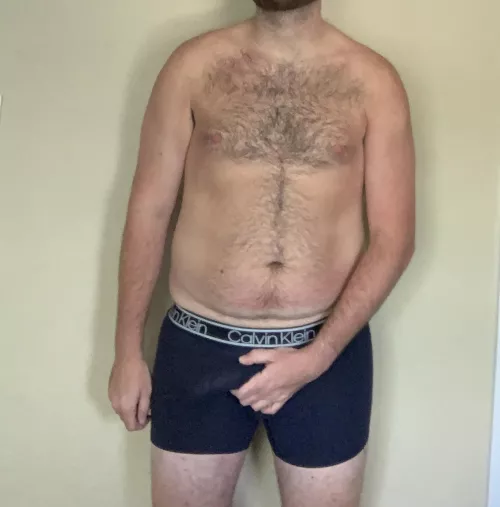 In search of a lunch break companion