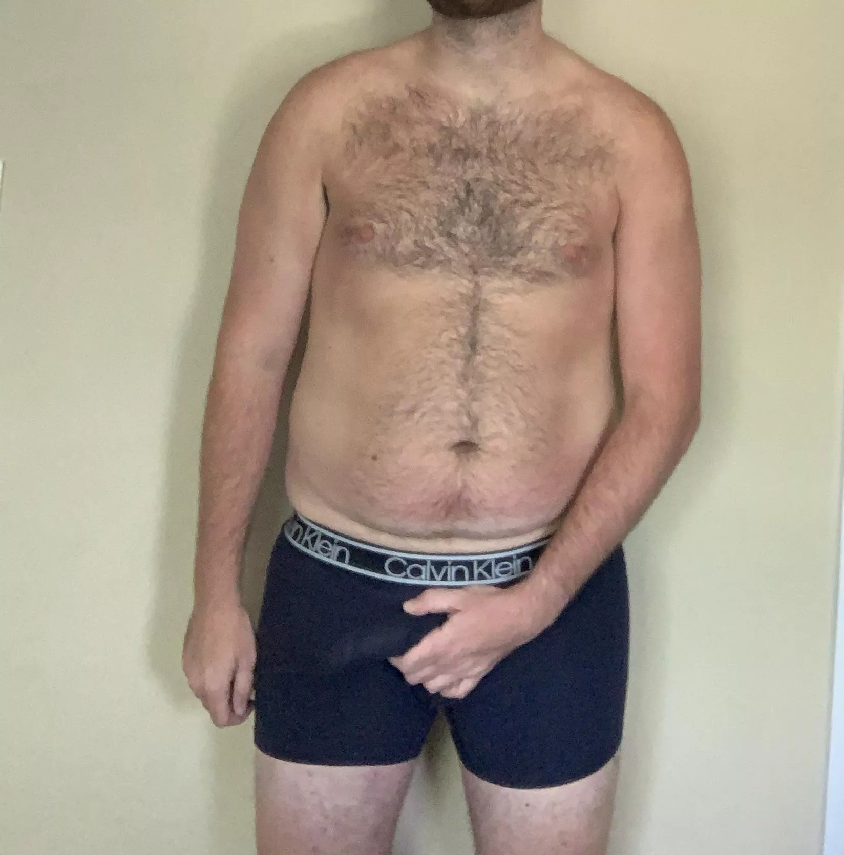 In search of a lunch break companion