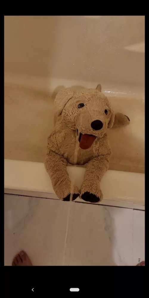 Indianapolis anybody? Wanna try some group stuff with my plushies if anyone's interested. M 22 Indy