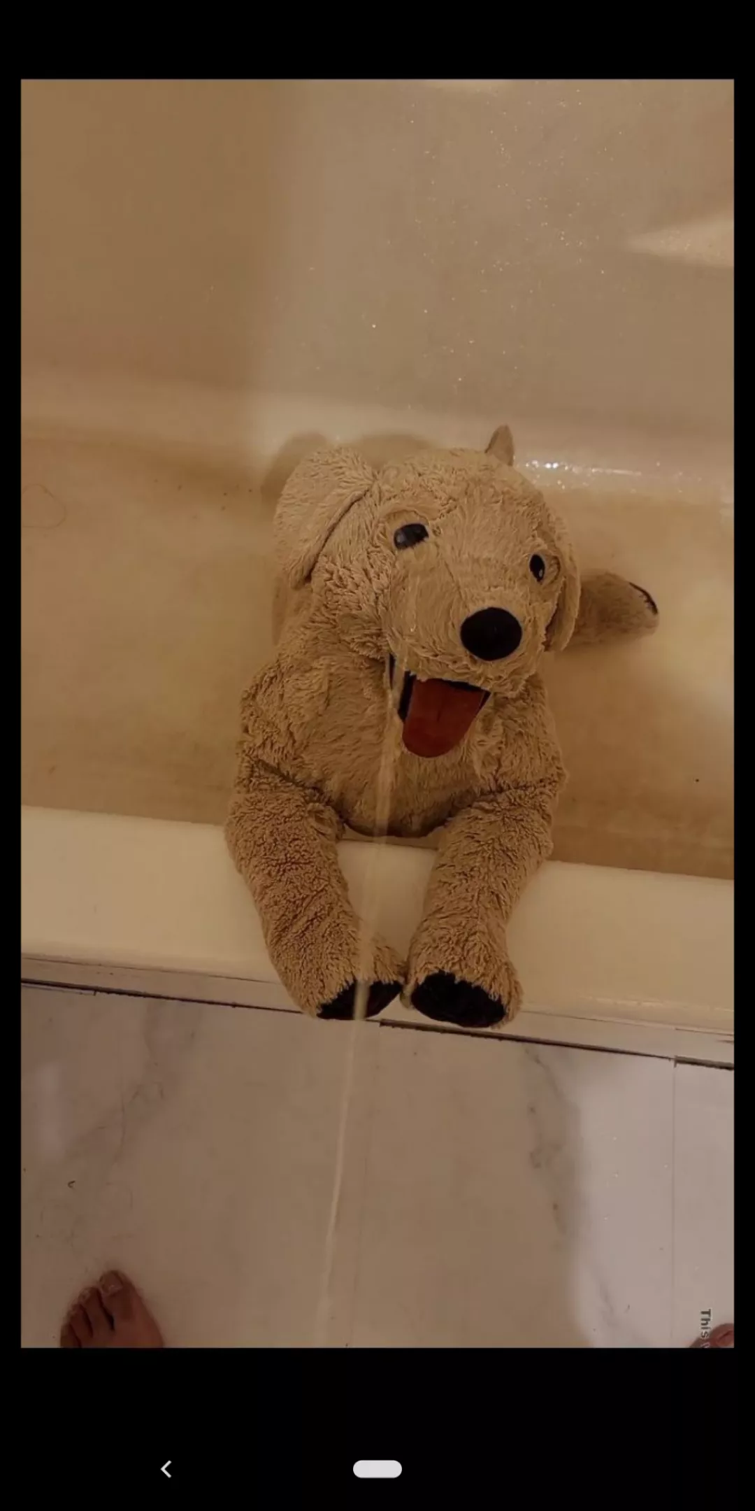 Indianapolis anybody? Wanna try some group stuff with my plushies if anyone's interested. M 22 Indy