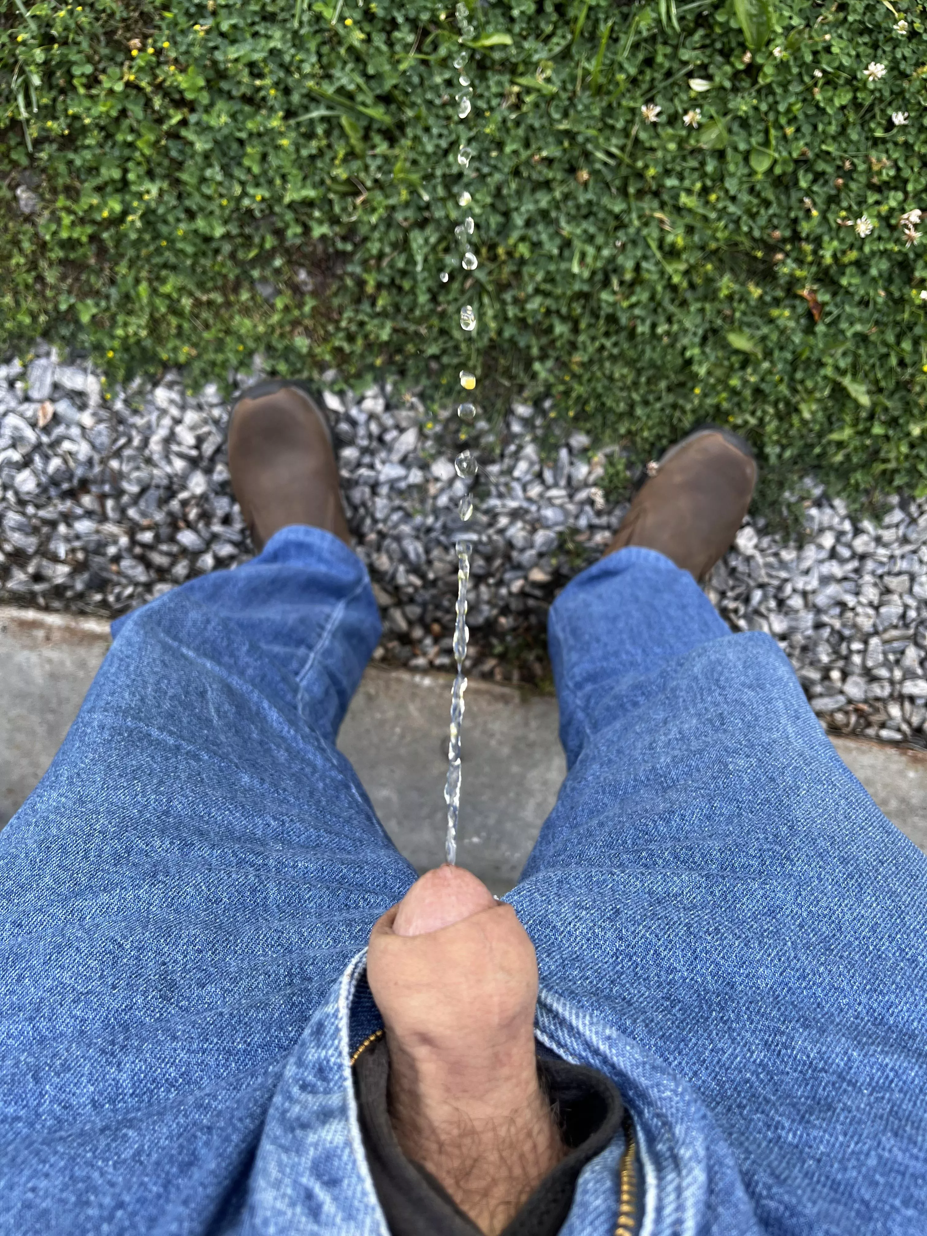 Mountain Dew anyone ?