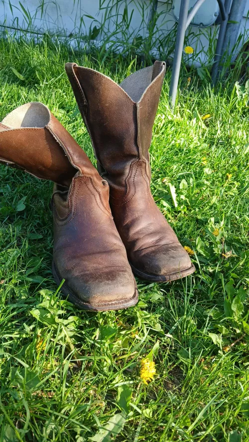 Need a new pair but don't know what their called