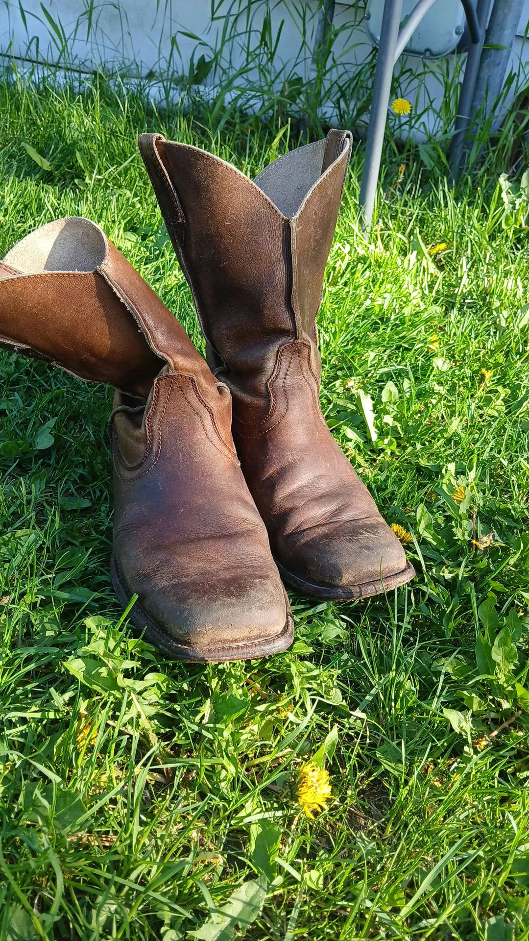 Need a new pair but don't know what their called