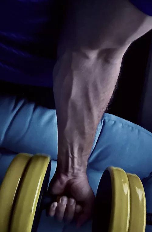 quick evening biceps work 🥵