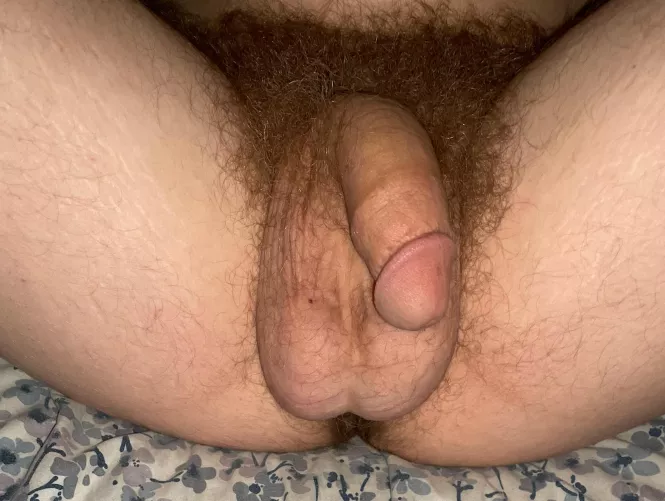 Since you loved my hairy hole so much…. Sorry my balls hide my hairy bussy 😝