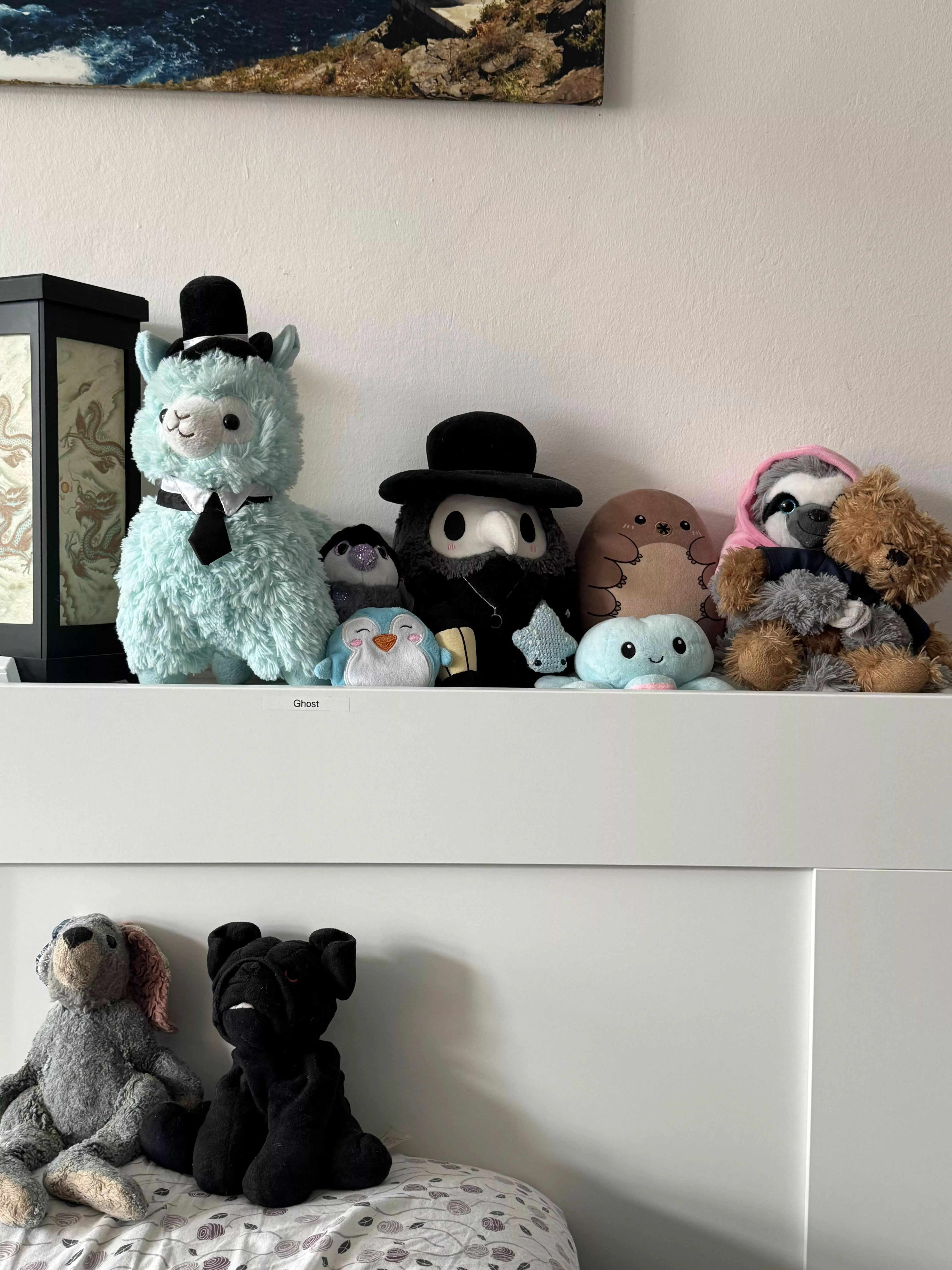 To celebrate the return of the sub, I want to show you all my friends! I’ve added all their names and stories below ❤️