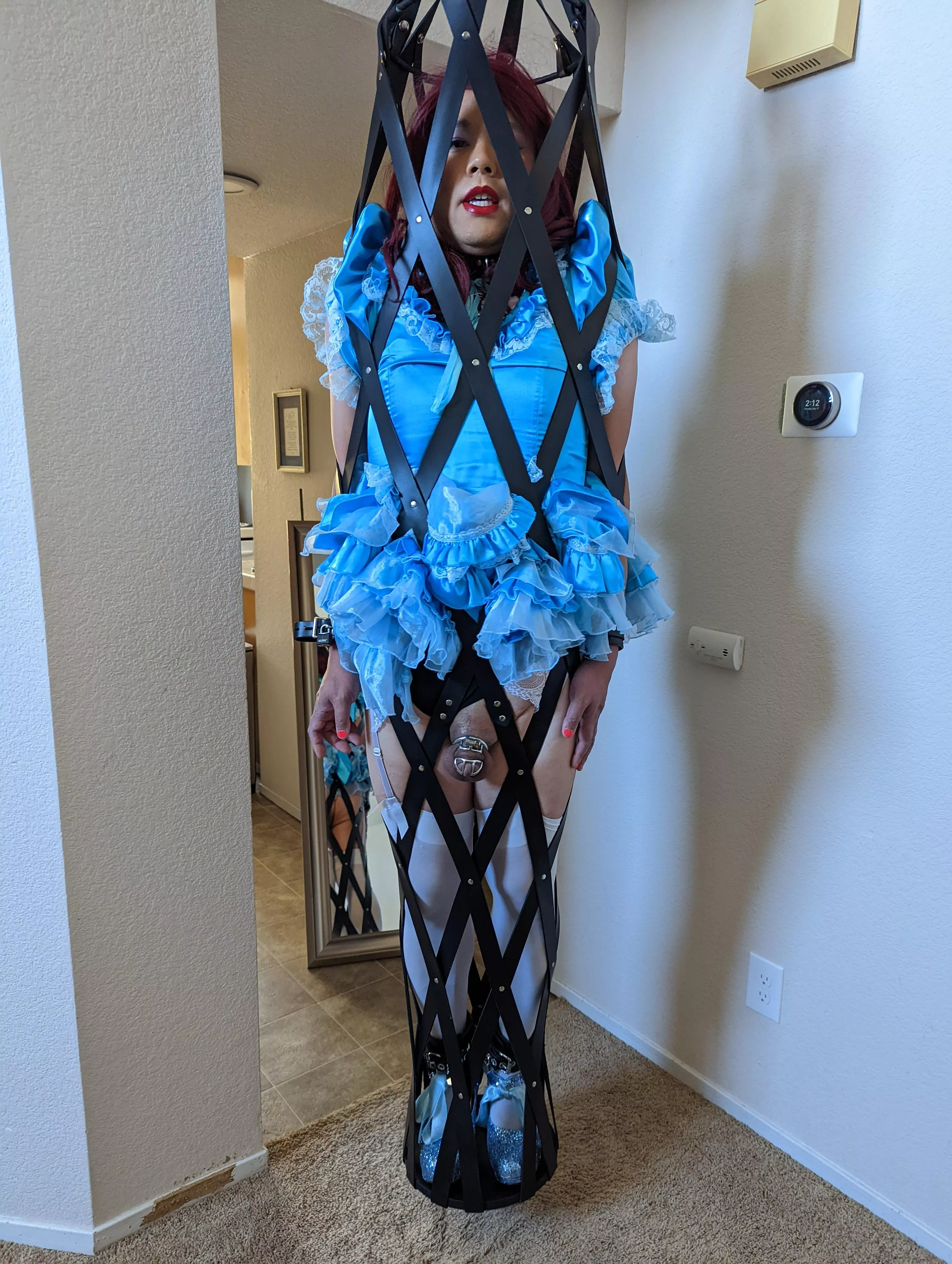 What are you all up to today? I'm just hanging out... waiting for my wife to come back from her date. She said she might bring her date back too to see me. Please help.